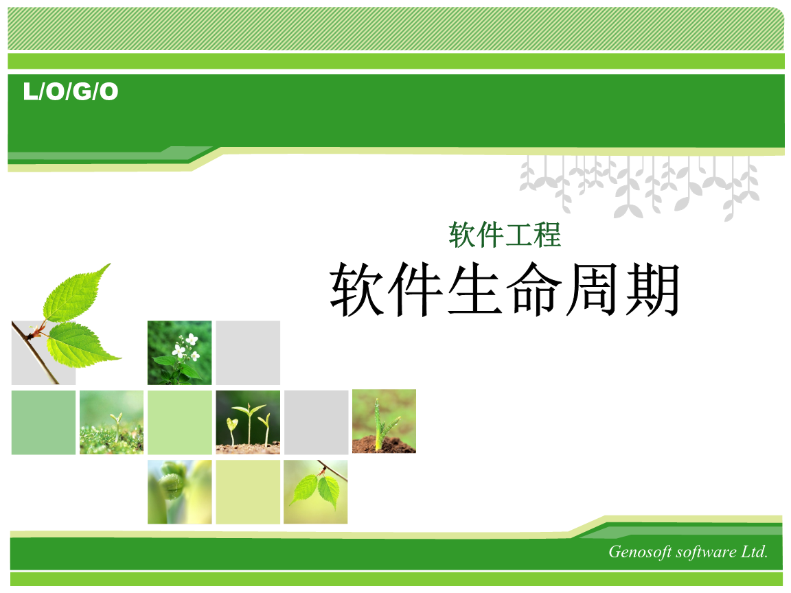 软件工程 构建高质量软件的基石